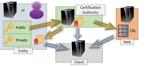 pki|Public Key Infrastructure .